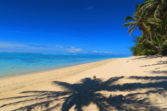 Aroa tropical beach Rarotonga Cook Islands palm tree