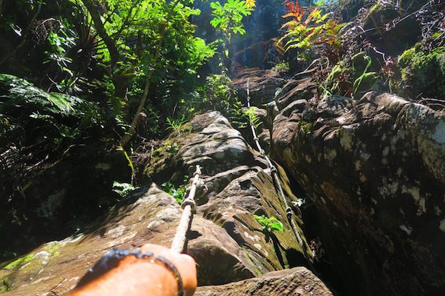 Mount Raemaru Track Rarotonga cook islands hiking - clinbing cliff with rope