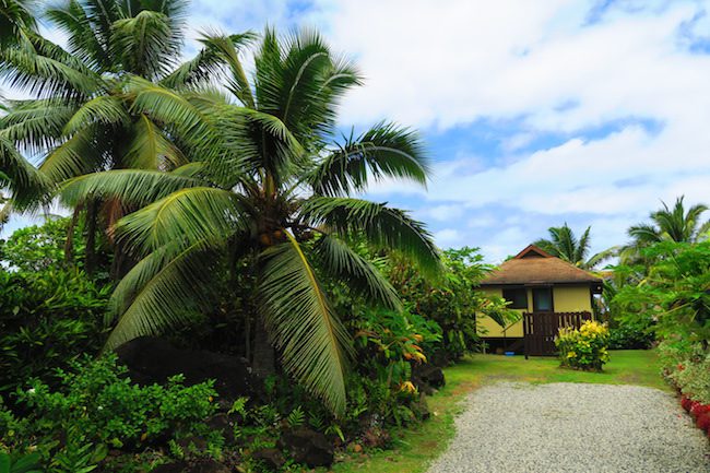 Muri Beach Cottages rarotonga - garden