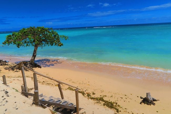 Regina’s Beach Fales Manase Savaii Samoa - beach