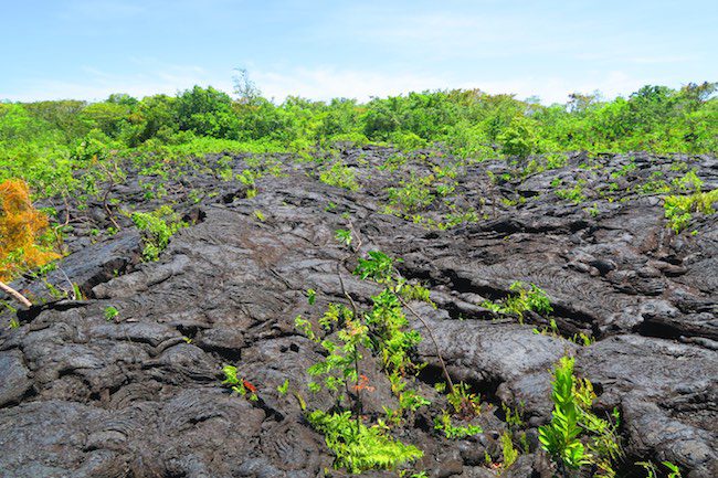 Saleaula Lava Field Savaii island samoa