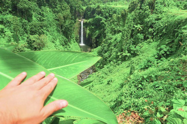 Sopoaga Tropical Waterfall Samoa Hidden