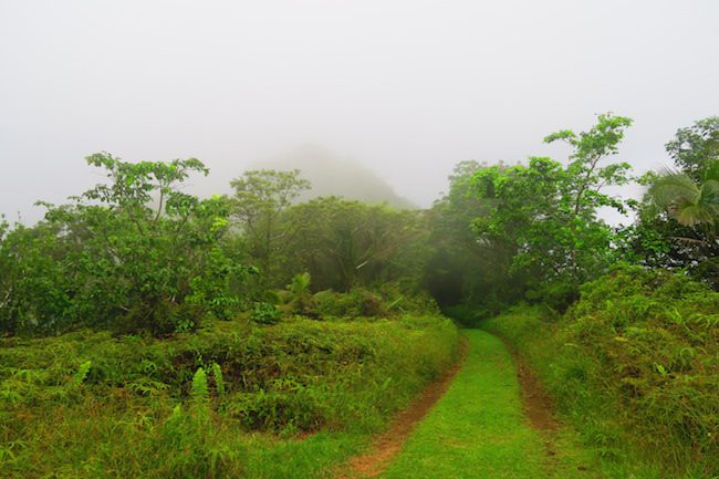 Clouds in Summit of Mount Alava American Samoa Hike