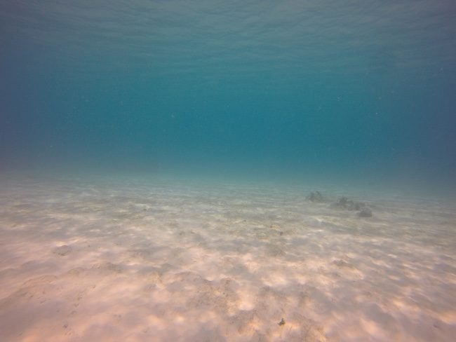 Lonnoc-Tropical-Beach-Santo-Island-Vanuatu-Clear-Water