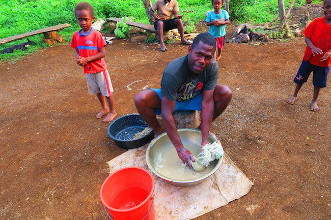 Making Kava Drink In Espiritu Santo Island - Vanuatu