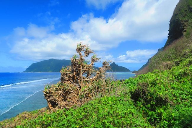 Start of Oge Beach Hike Olosega American Samoa