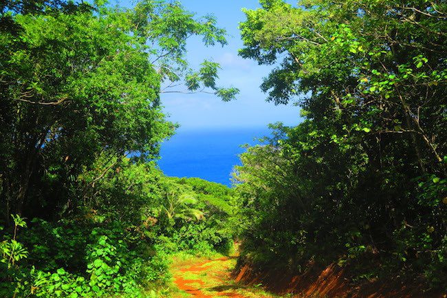 Tumu Mountain Hike Ofu American Samoa