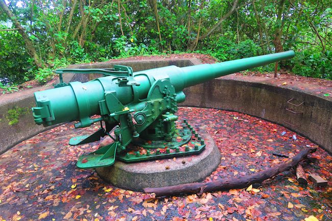 WWII Gun in Heritage Trail Pago Pago American Samoa