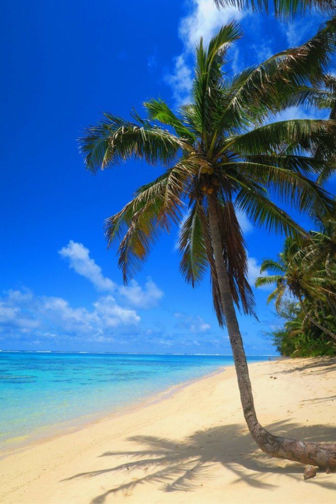 Top 10 Beaches In The South Pacific | X Days In Y