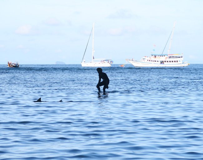 maya-bay-ko-phi-phi-leh-catching-sharks