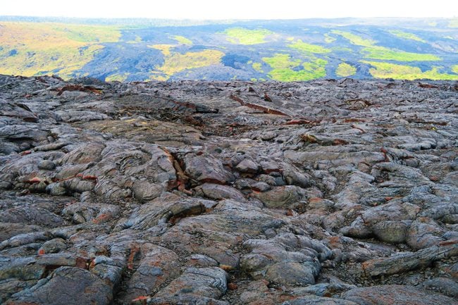 Lava field - Hawaii Volcanoes National Park