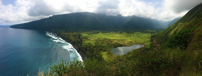 The Big Island meets the Valley