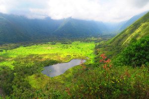Waipio Valley - the mother of all valleys - post cover