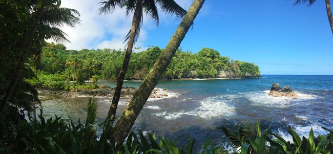 5 Days in the Big Island Sample Itinerary - Onomea Bay panoramic view