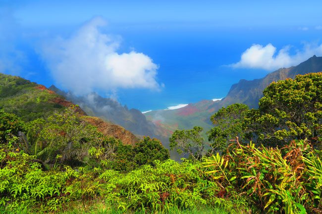 Kalalau Lookout - Na Pali Cliffs - Kauai Hawaii