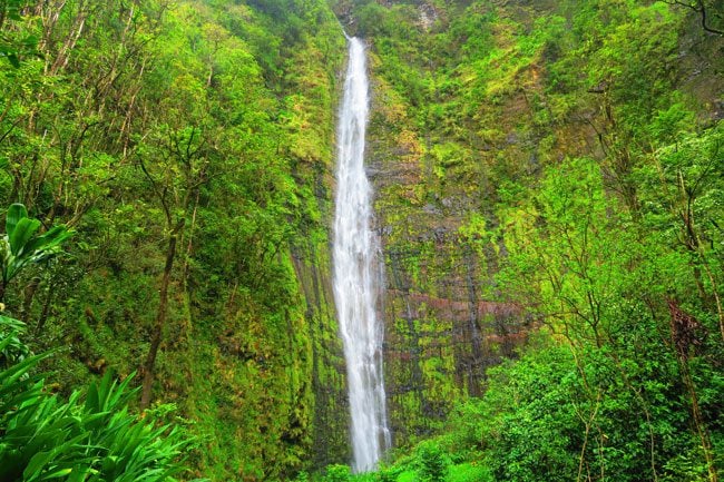 Pipiwai Trail Hike Waimoku Falls - Road to Hana - Maui Hawaii