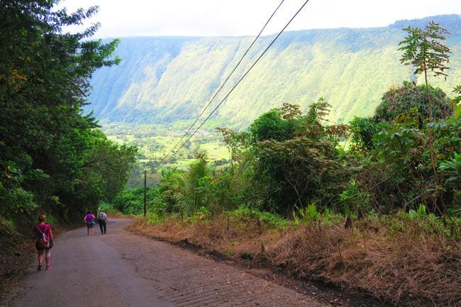 Steep road to Waipio Valley - Big Island Hawaii