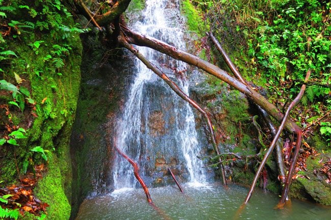 waterfall - Muliwai Trail Hike - Waipio Valley Big Island Hawaii.
