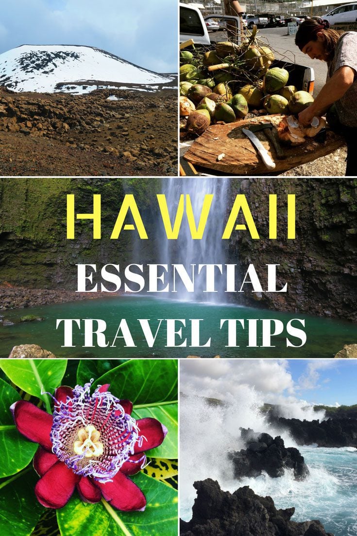 3 Essential Ways to Survive in the Wild, Hawaiian Style