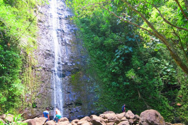Manoa Waterfall - Oahu - Hawaii  X days in Y