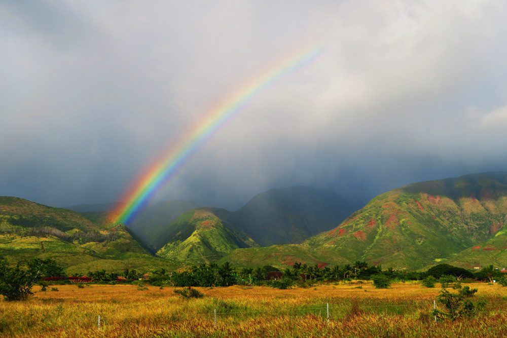 best things to do in maui hawaii