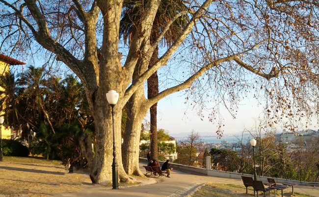 Jardim do Torel - Lisbon Portugal