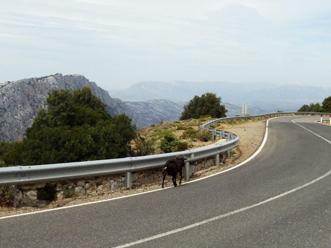 scenic country road - Sardinia - Italy