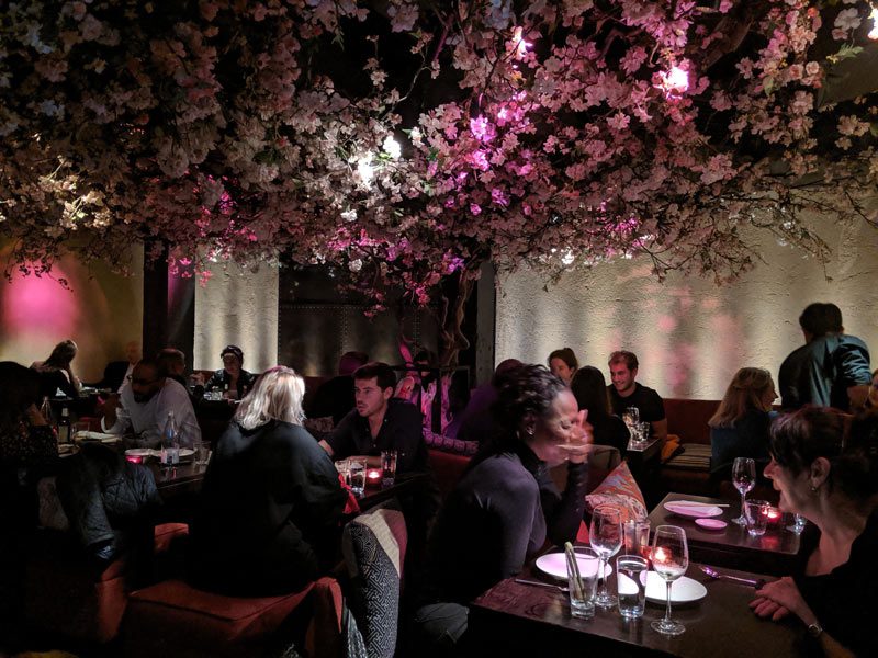 Roka London Restaurant - downtairs bar and cherry blossoms 2