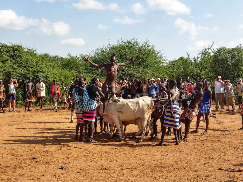 Hammer tribe bull jumping ceremony - Vagabjorn