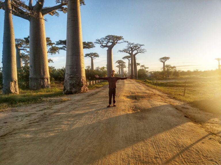 Madagascar baobab Avenue - Vagabjorn