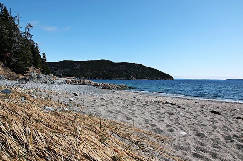 Sandy Cove Beach - Top 10 Places to Paddle Board in Canada