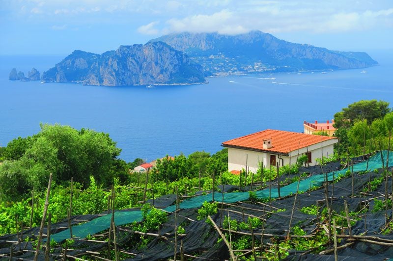 View of Capri from Termini