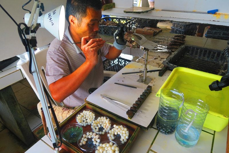 Robert Wan Pearl Farm - aukena - Gambier Islands - French Polynesia 1