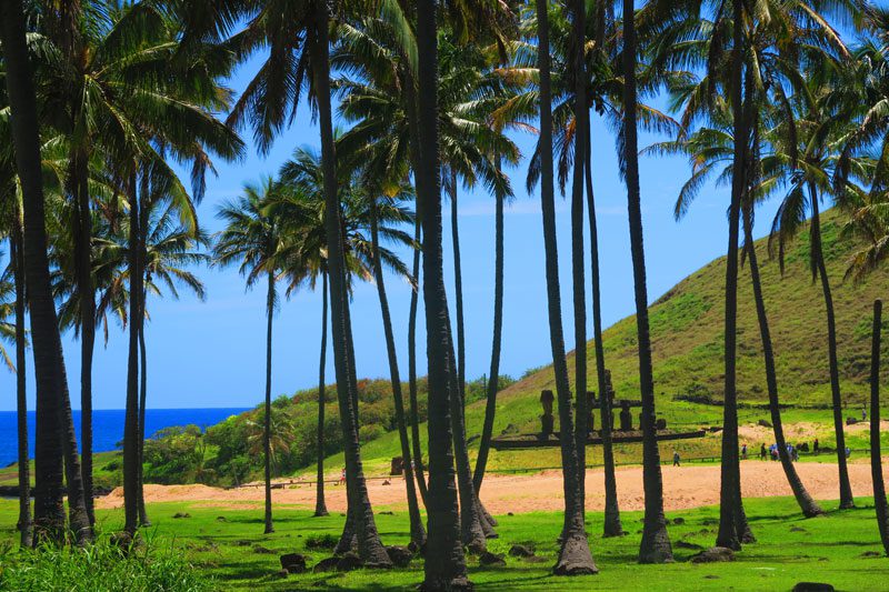 Anakena Beach Easter Island