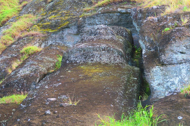 Te Tokanga The Giant Moai Rano Raraku Easter Island