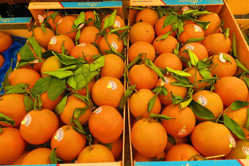 Fruit in the Campo de Fiori Market - Rome