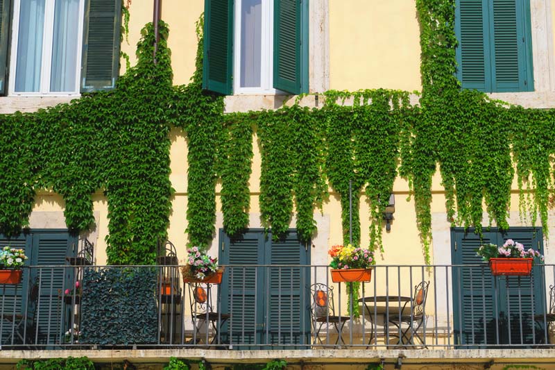 Terrace in Piazza Navona Rome