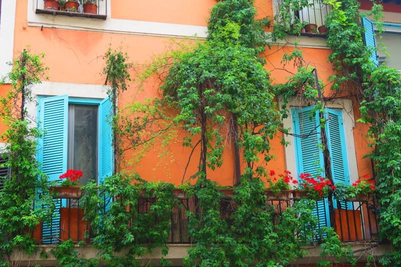 Trastevere  - Rome - terrace