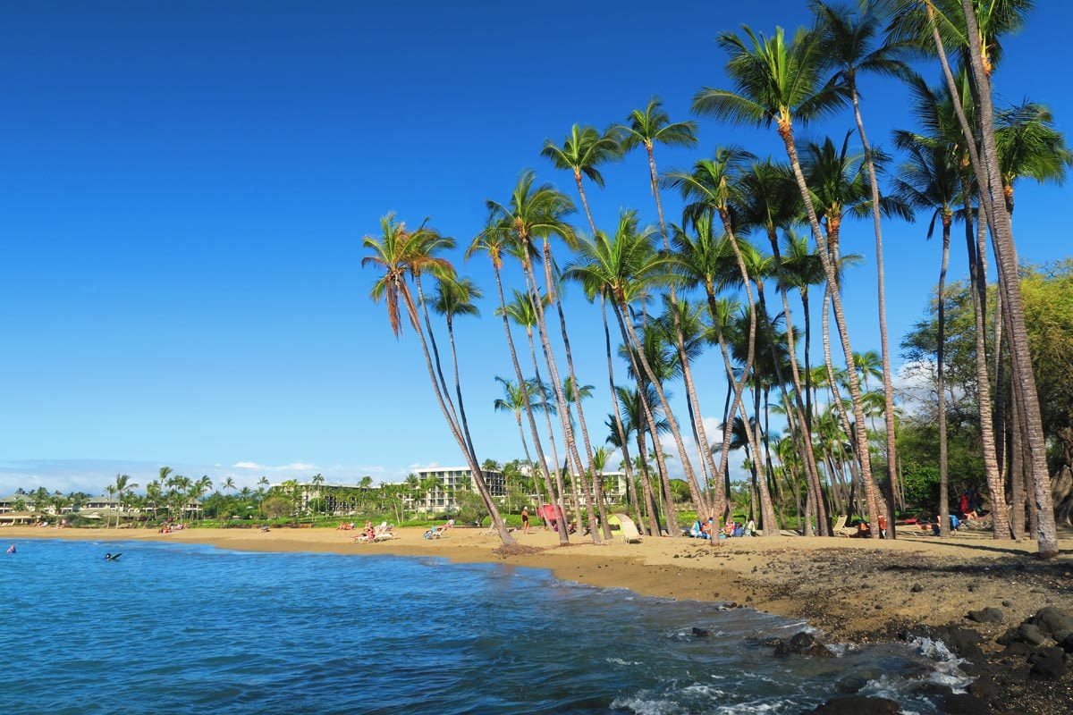 Palm trees in Anaeho'omalu Beach - Big Island Hawaii