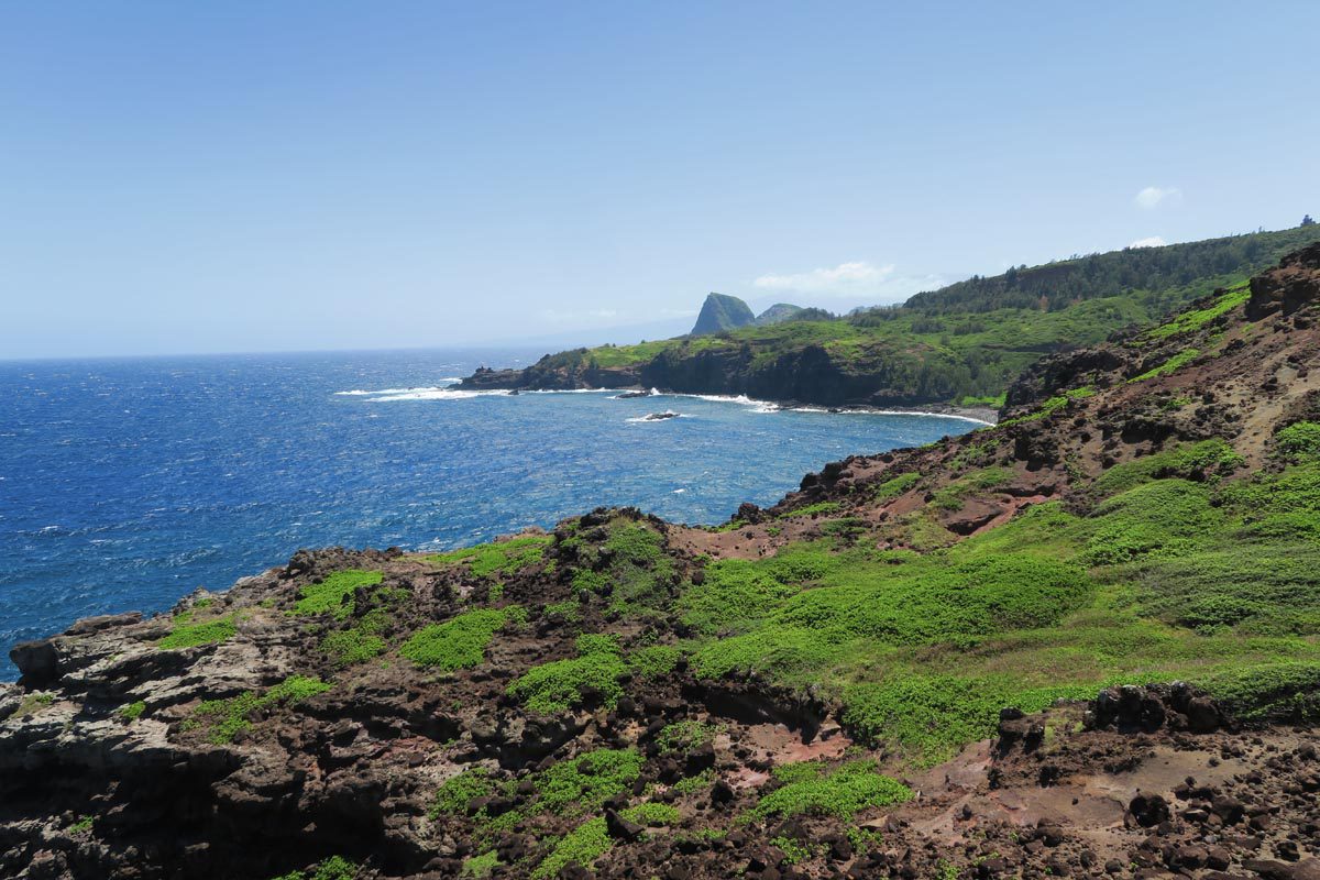 Ohai Trail - 2- Maui - Hawaii