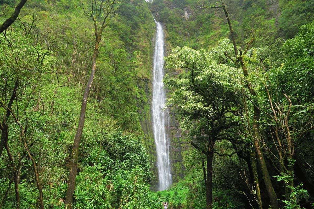 Pipiwai Trail Hike Waimoku Falls - Road to Hana - Maui Hawaii