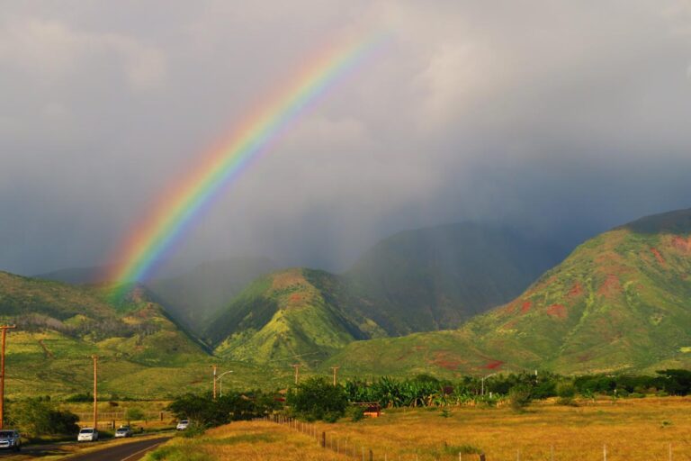 Top 10 Things To Do In Maui