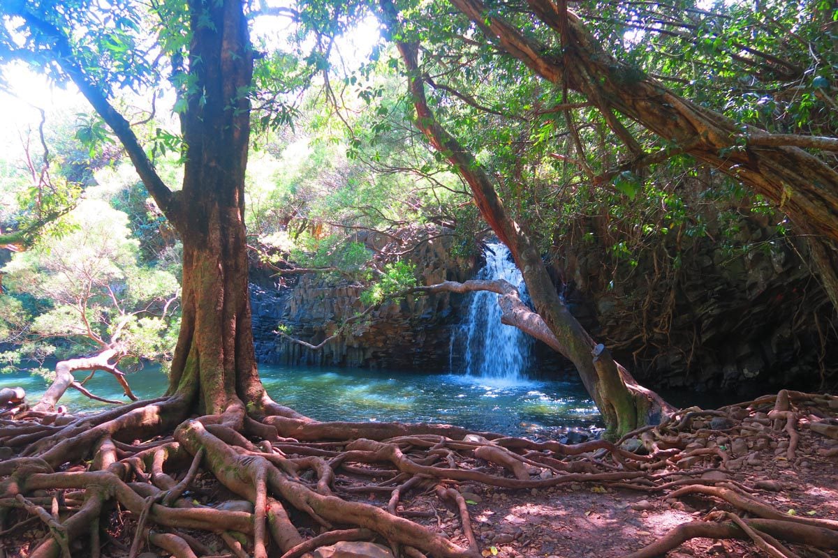 Twin Falls - Lower Pool - Hana Highway - Maui - Hawaii