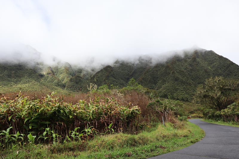Drive to Forêt de Bébour-Bélouve - Reunion Island