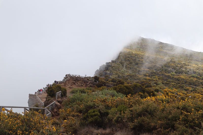 Maido scenic lookout Reunion Island - covered in clouds