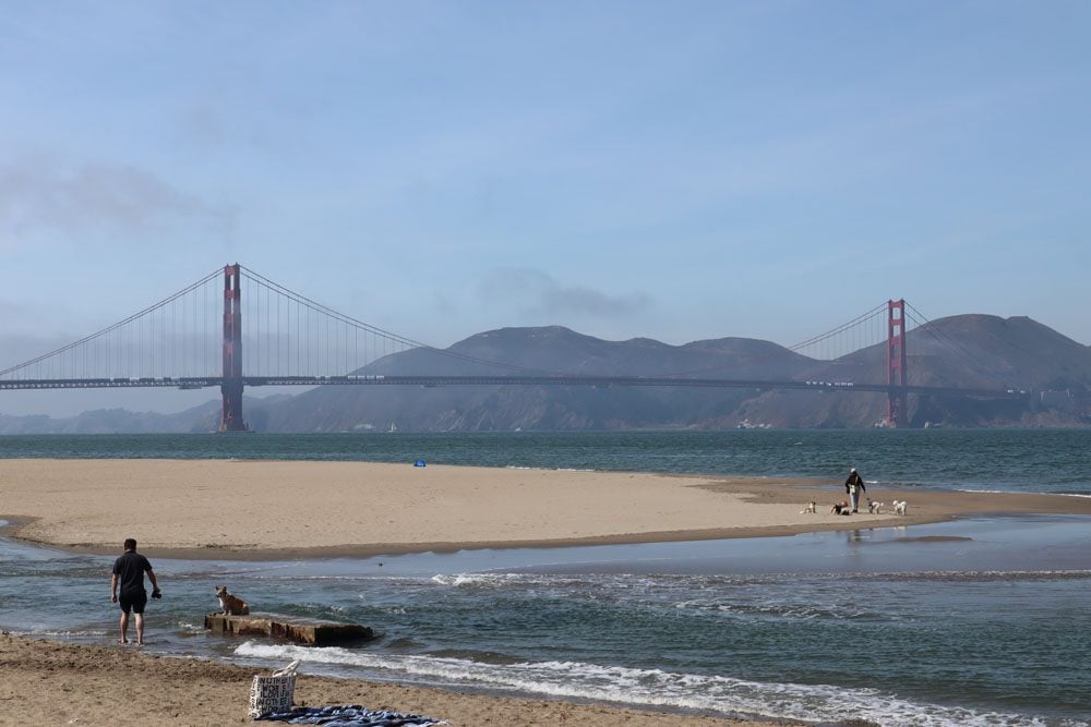 Crissy Field Marsh san francisco