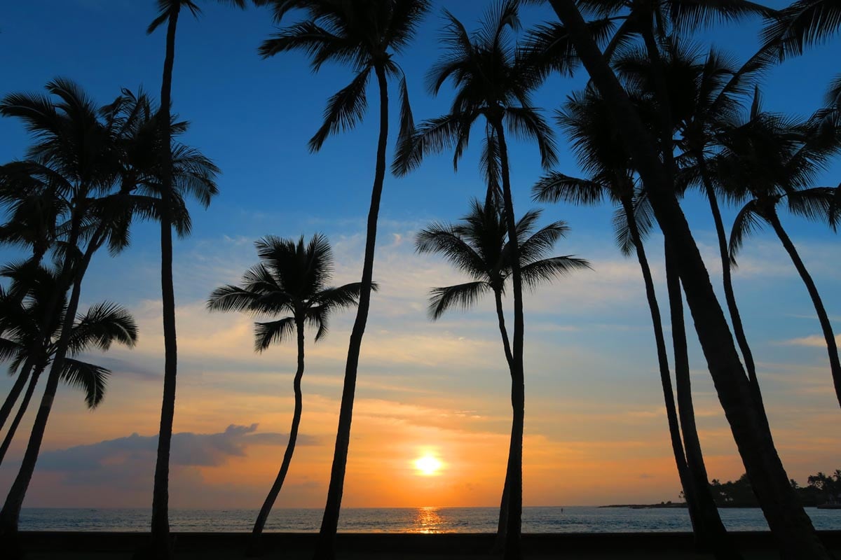 Sunset with palm trees - Kona - Big Island