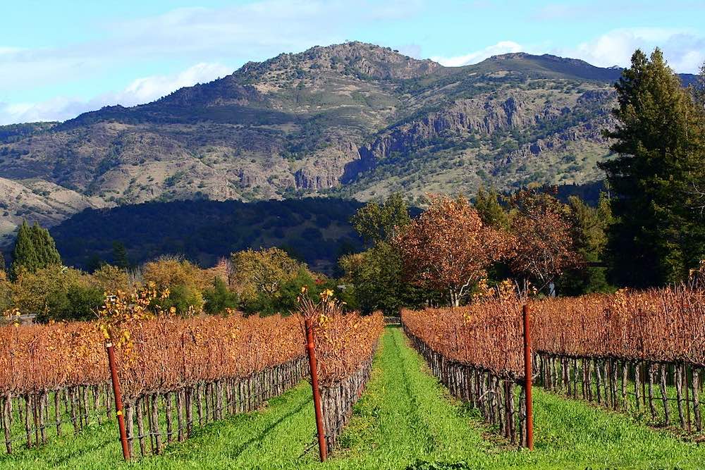napa valley vineyard california - image by John Morgan