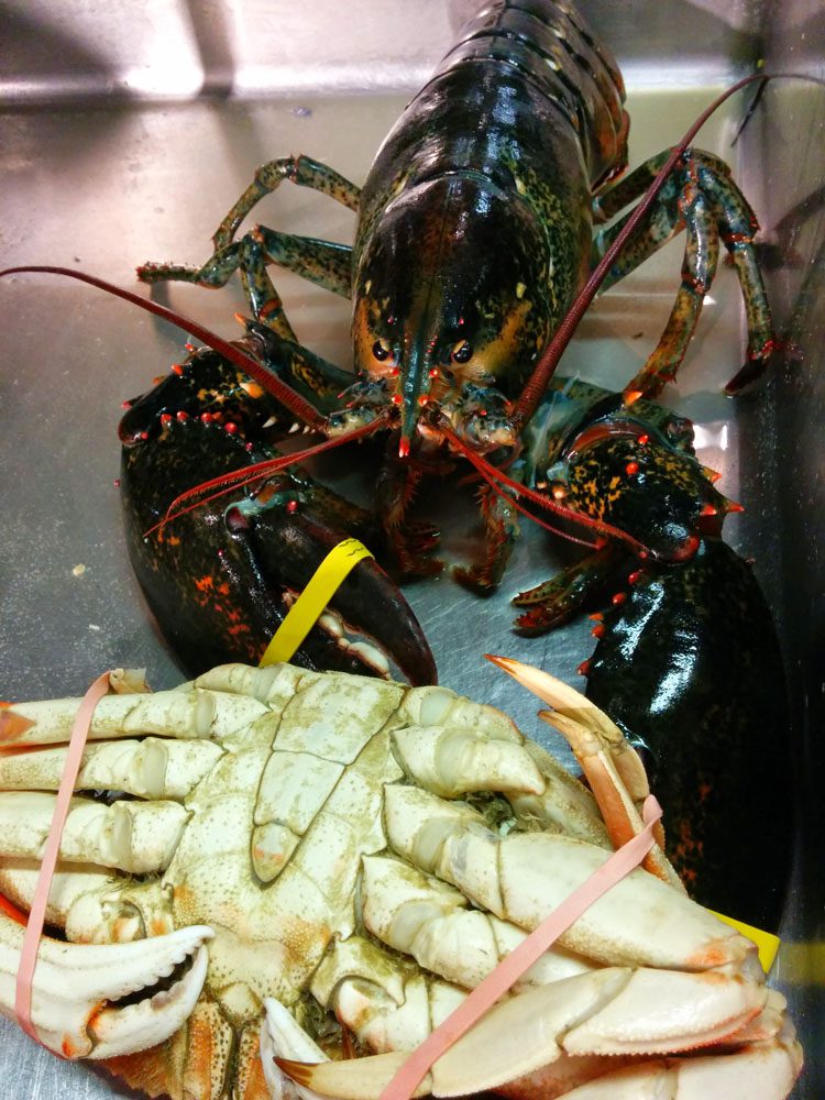 seafood at Fisherman’s Wharf san francisco