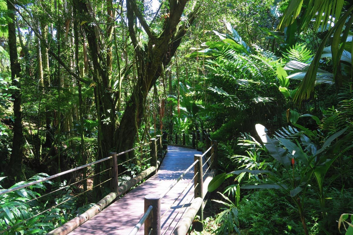 Foot bridge in Hawaii Tropical Botanical Gardens - Big Islandjpg